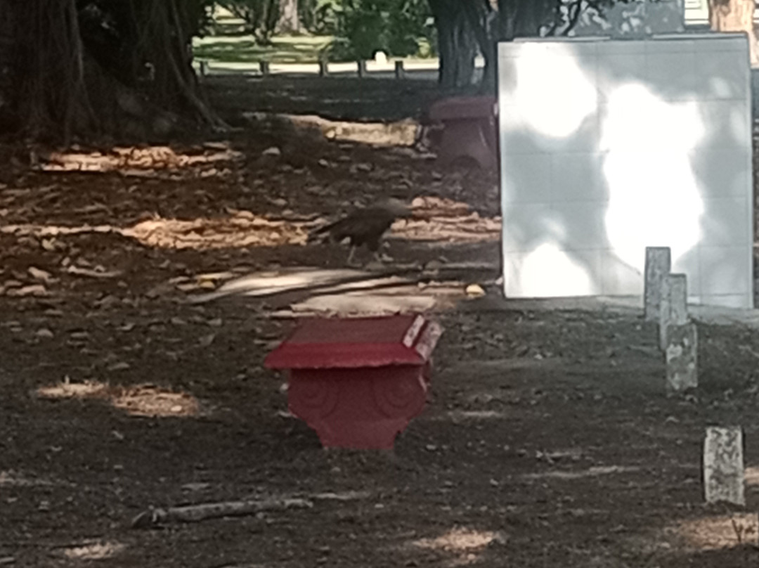 Parque Ecologico do Tiete-圣保罗必去景点