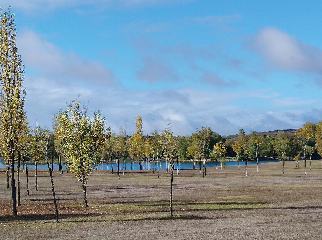 Parque Salburua-维多利亚必去景点