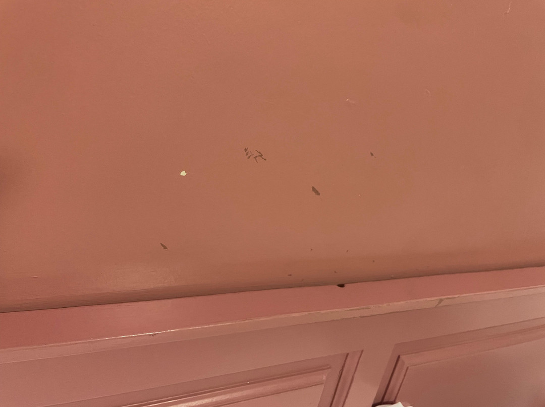 Guy's Thatched Hamlet主图