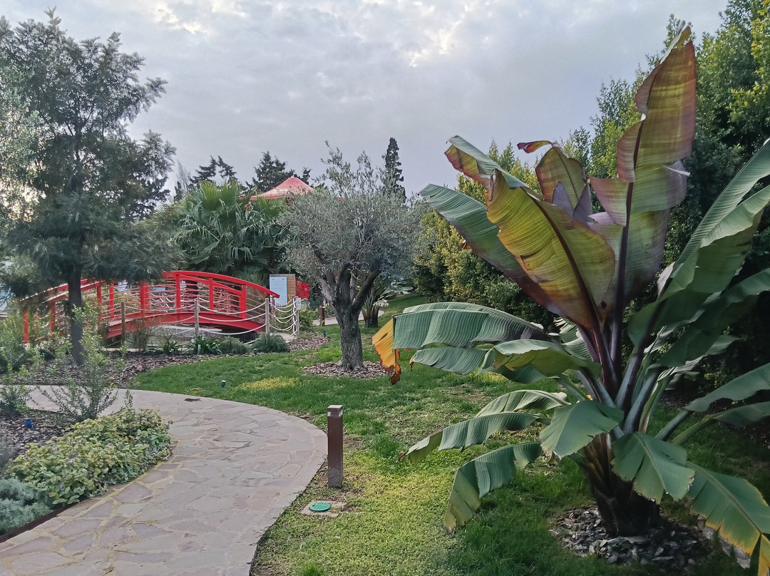 Chinese Garden of Serenity-Santa Lucija必去景点