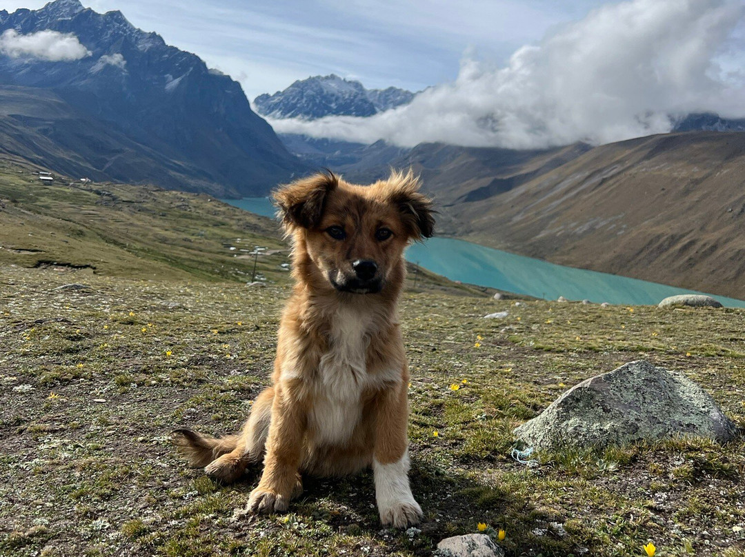 Killa Expeditions-库斯科必去景点