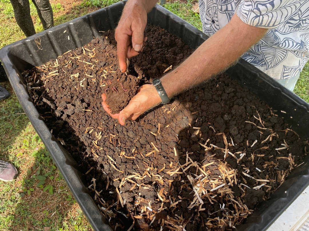 Hawaiian Organic Noni-基拉韦厄必去景点