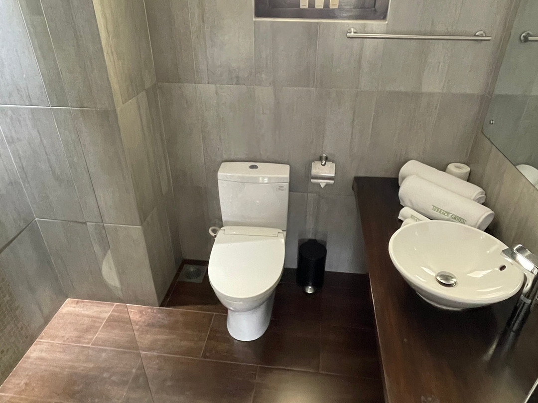 绿色露台酒店主图