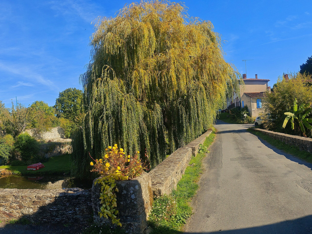 Pont médiéval et Grotte de Vouvant.-Vouvant必去景点