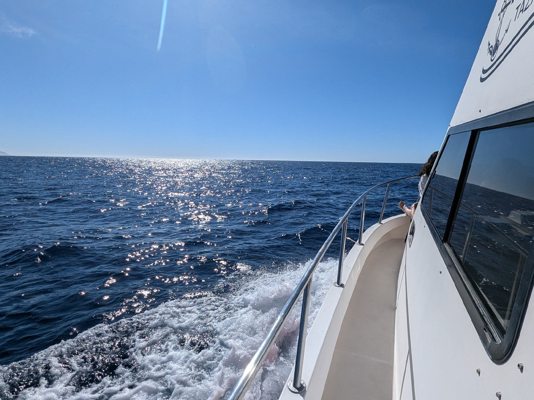 Nemo La Palma-Puerto de Tazacorte必去景点