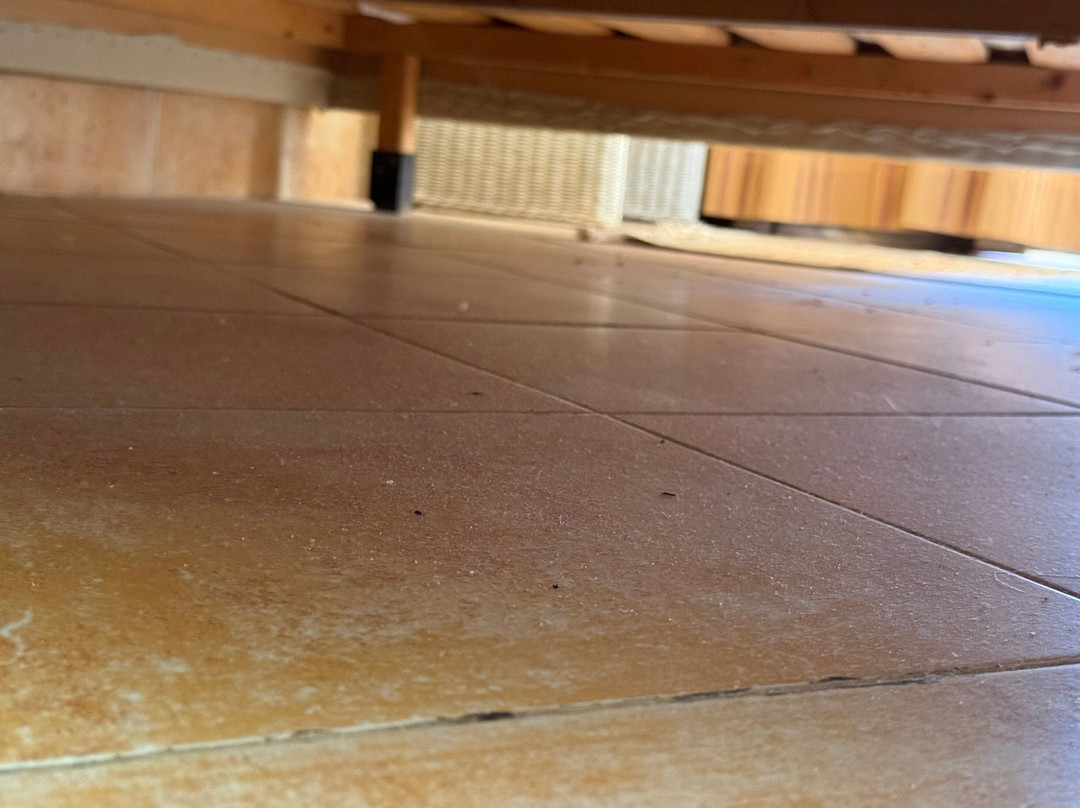 Sangho Zarsis Hotel主图