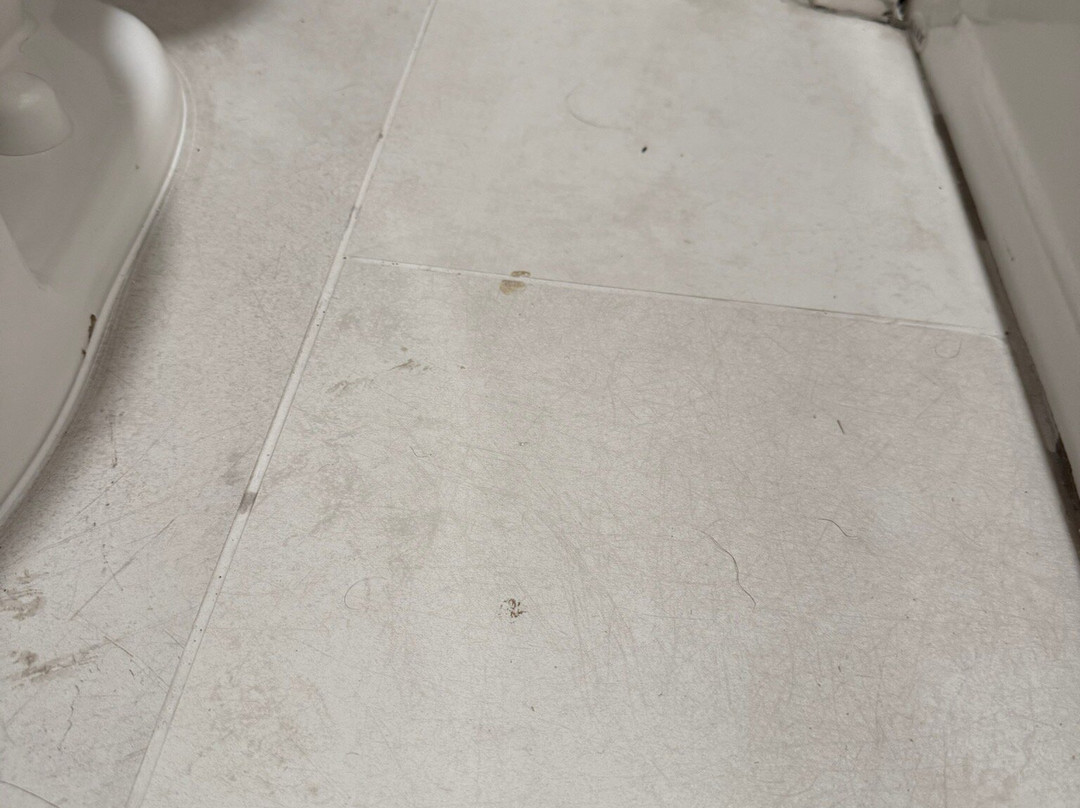 Holiday Inn Express & Suites Nacogdoches by IHG主图