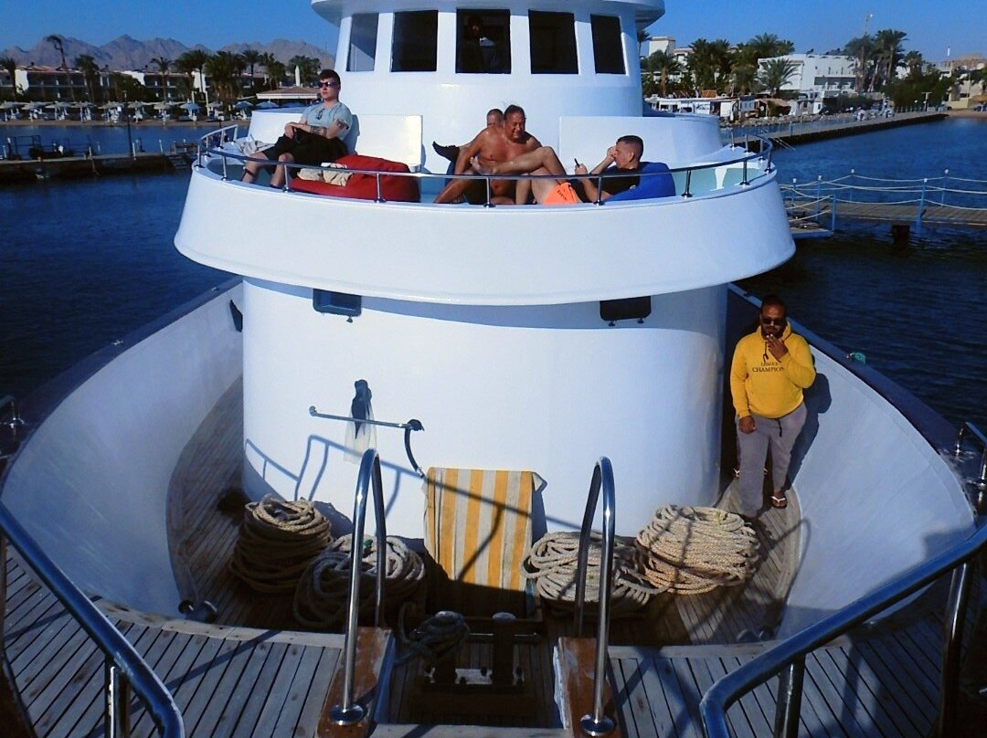 Ducks Diving Safaga-Safaga必去景点