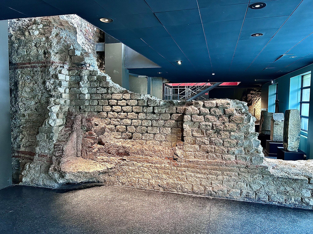 Museum of La Cour d'Or-梅斯必去景点