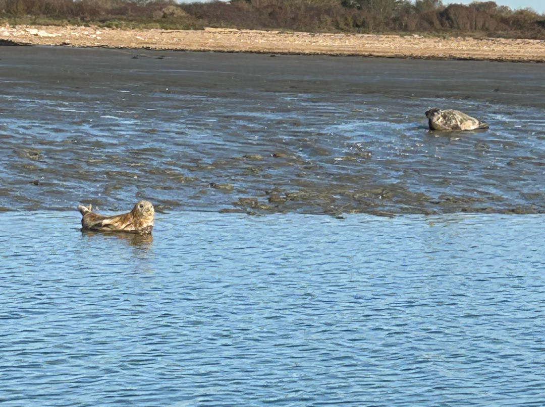 Chichester Harbour Water Tours-West Itchenor必去景点