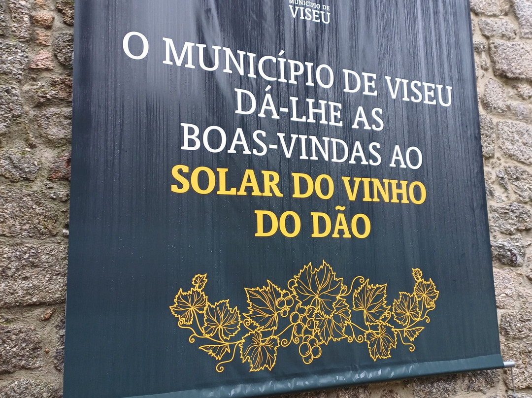 Solar do Vinho do Dão - Rota dos Vinhos do Dão-维塞乌必去景点