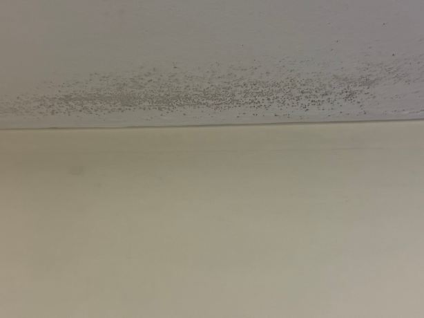 银石普瑞米尔酒店-官方