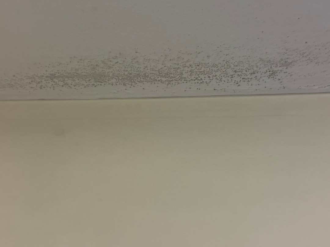 普瑞米尔银石酒店