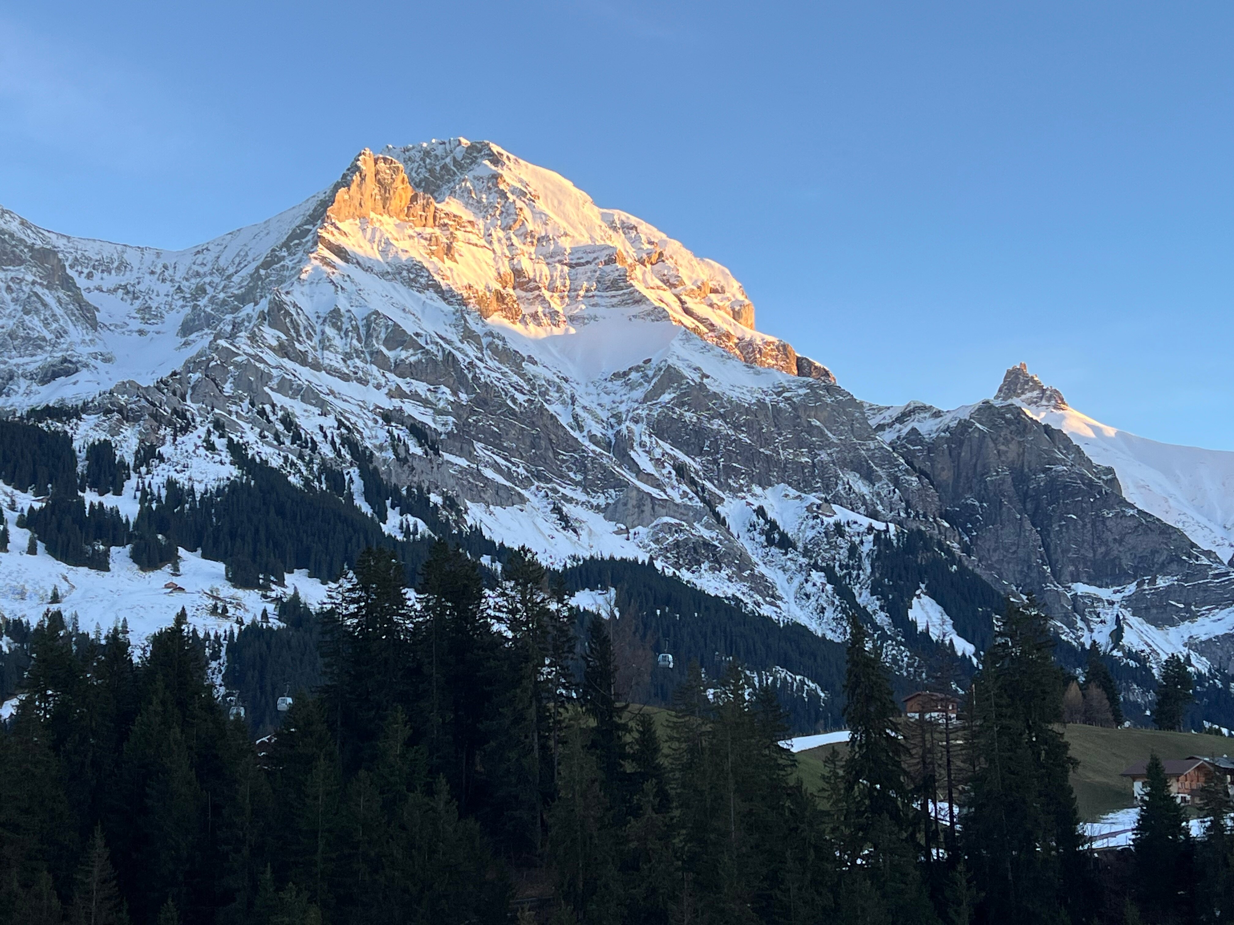 Hotel Des Alpes-酒店景观