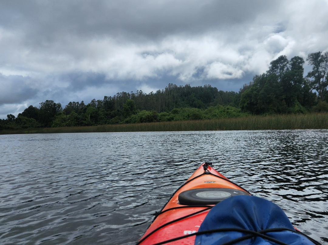Rio Vivo-瓦尔迪维亚必去景点