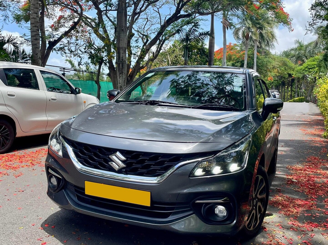 ASAS Car Rental - Mauritius-Triolet必去景点