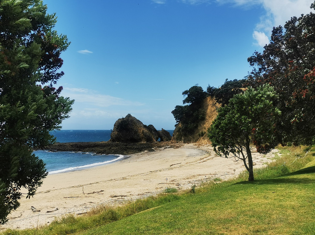 Rotoroa Island-奥克兰必去景点