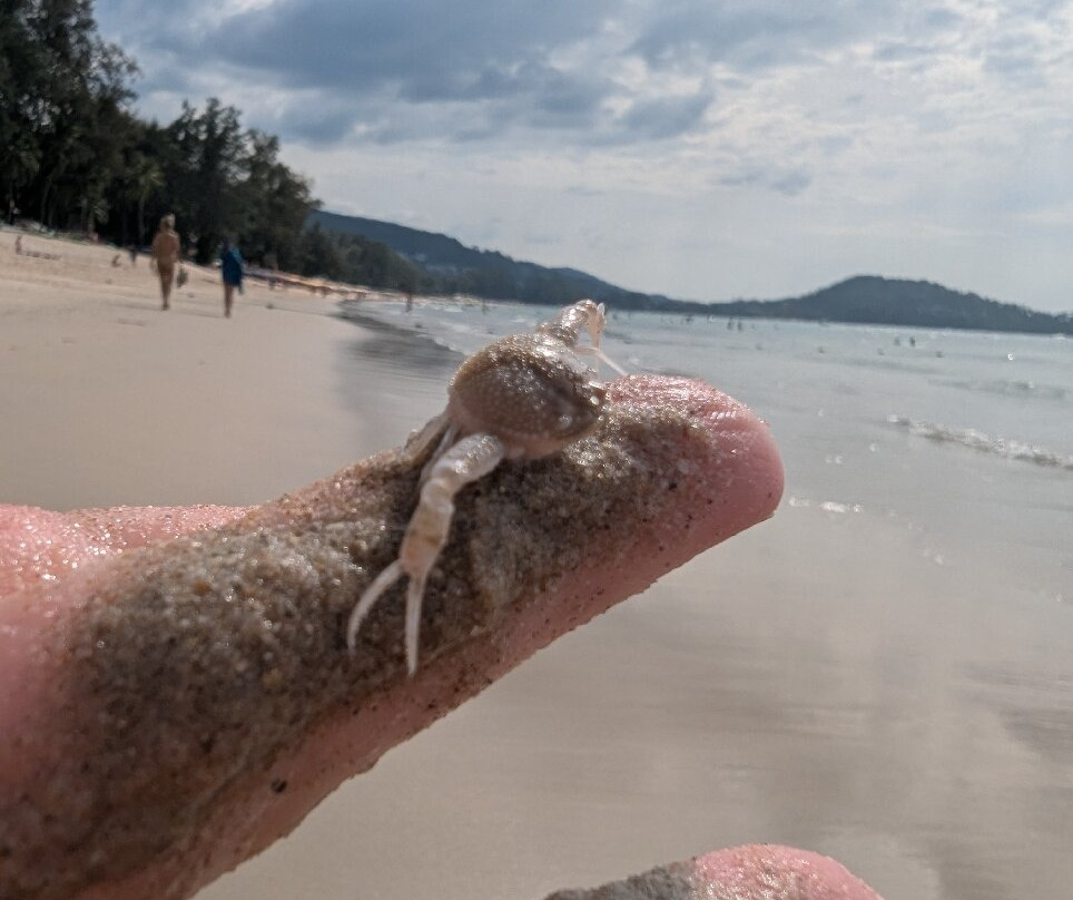 Hilton Garden Inn Phuket Bang Tao主图