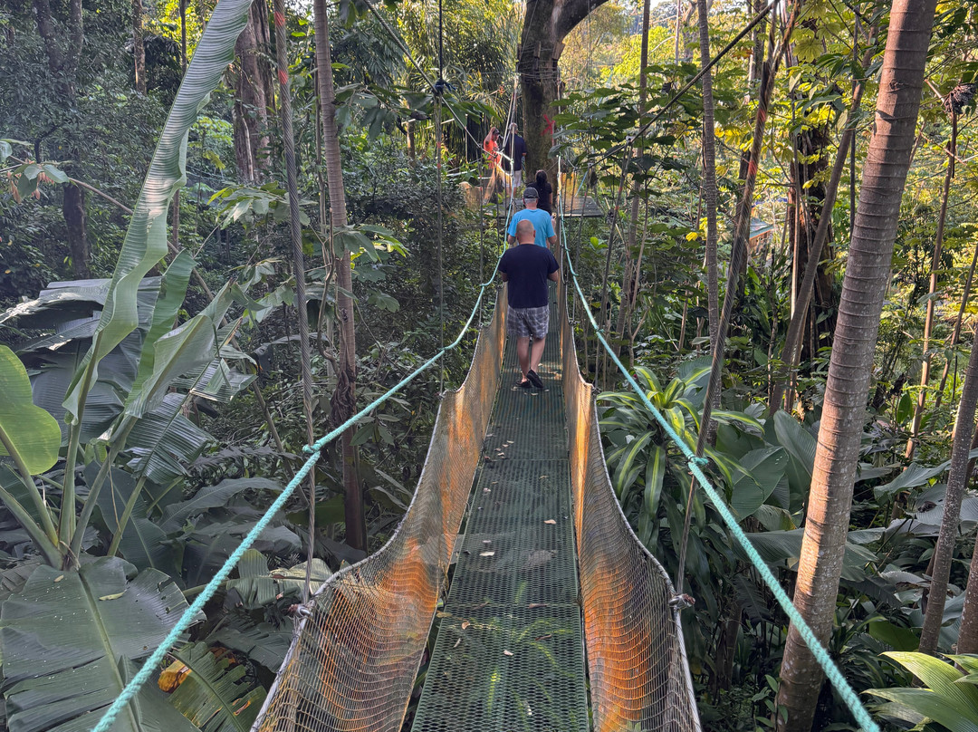 Mountain Top Park-哥斯达黎加安东尼奥国家公园必去景点
