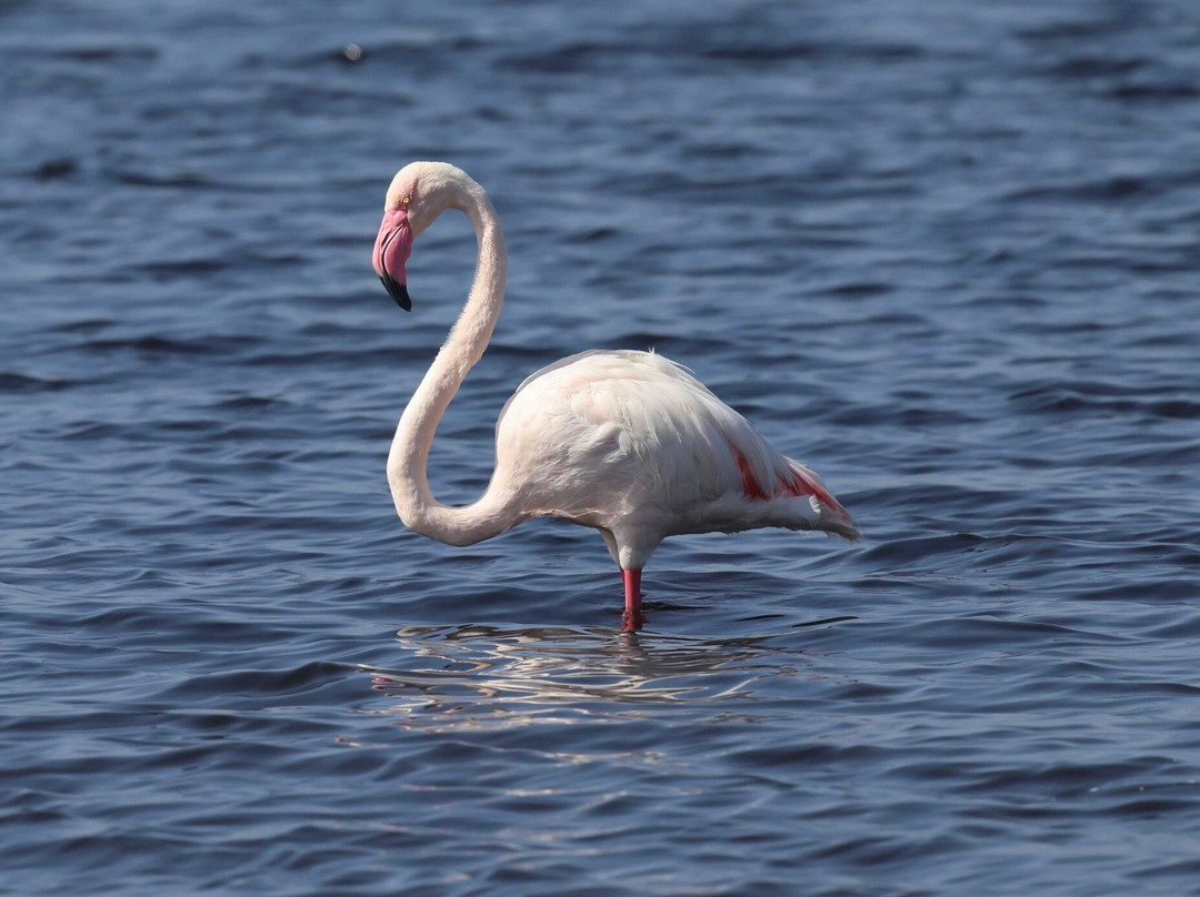 Absolute Ethiopia Tours-亚的斯亚贝巴必去景点