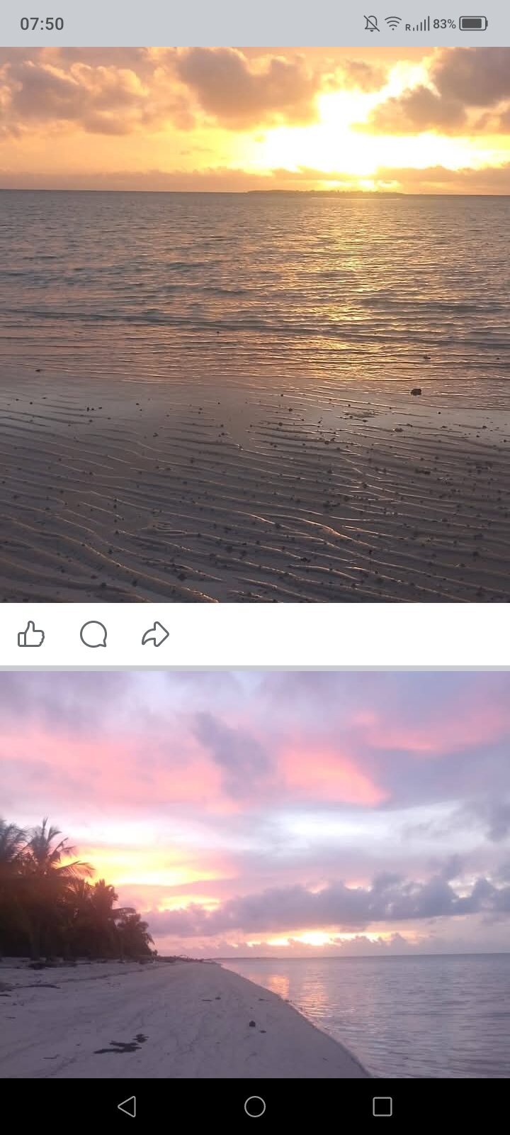 莫德萨岛度假村-官方