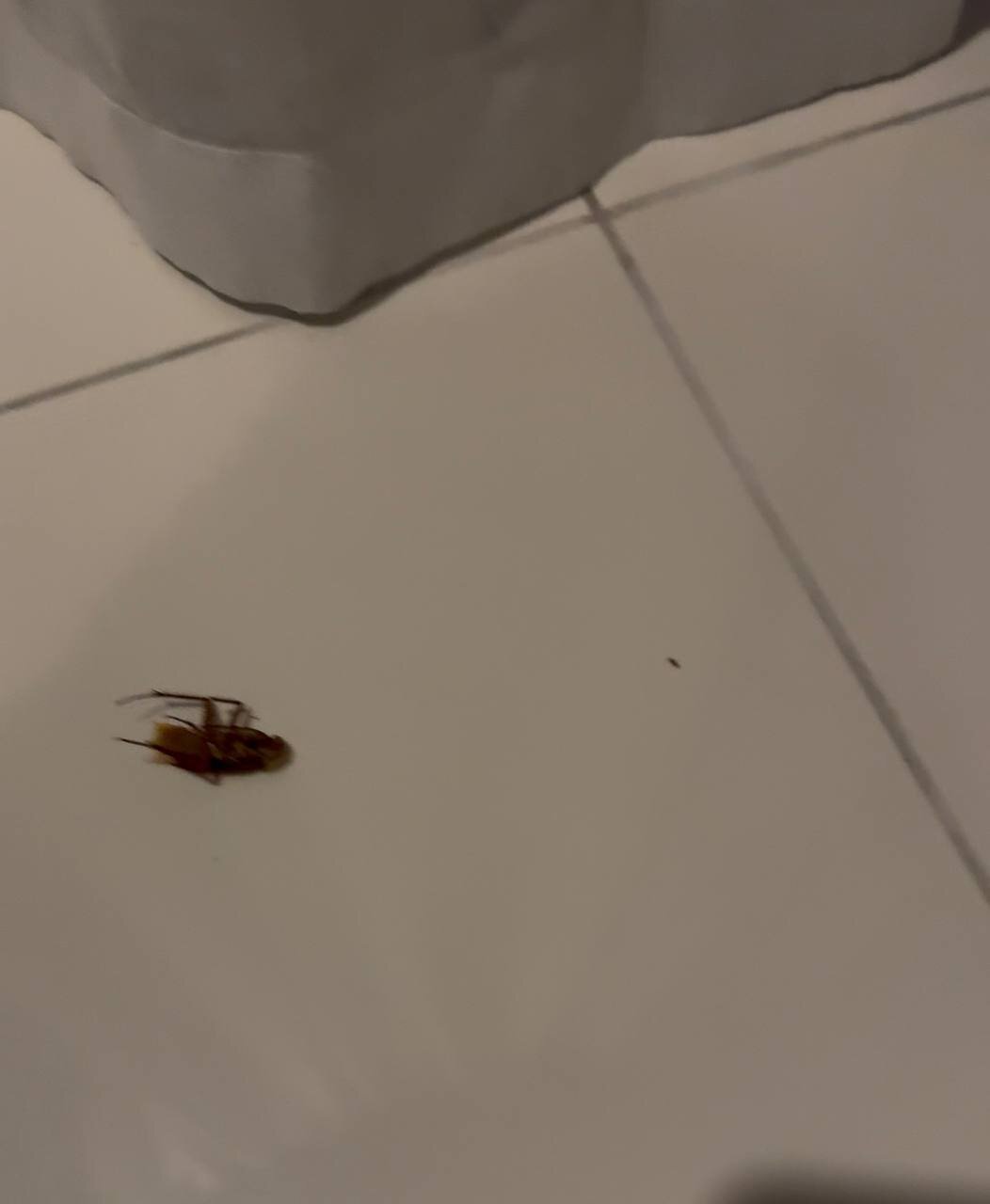 Grace Patong Hotel-官方