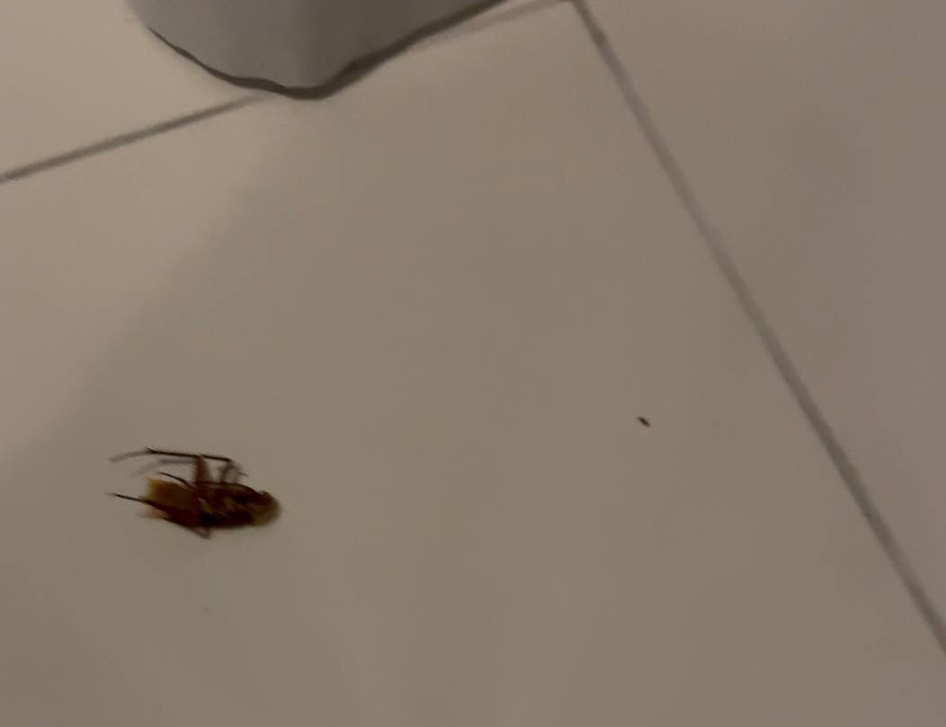 Grace Patong Hotel主图