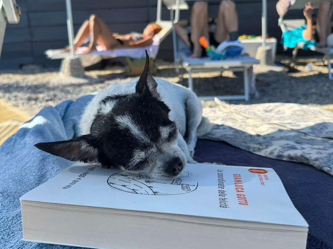 Il Porteghetto Lounge Bar-Cervo必去景点