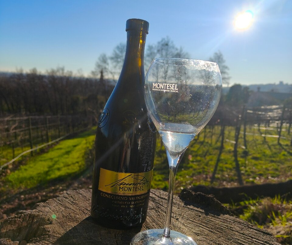Azienda Agricola Montesel