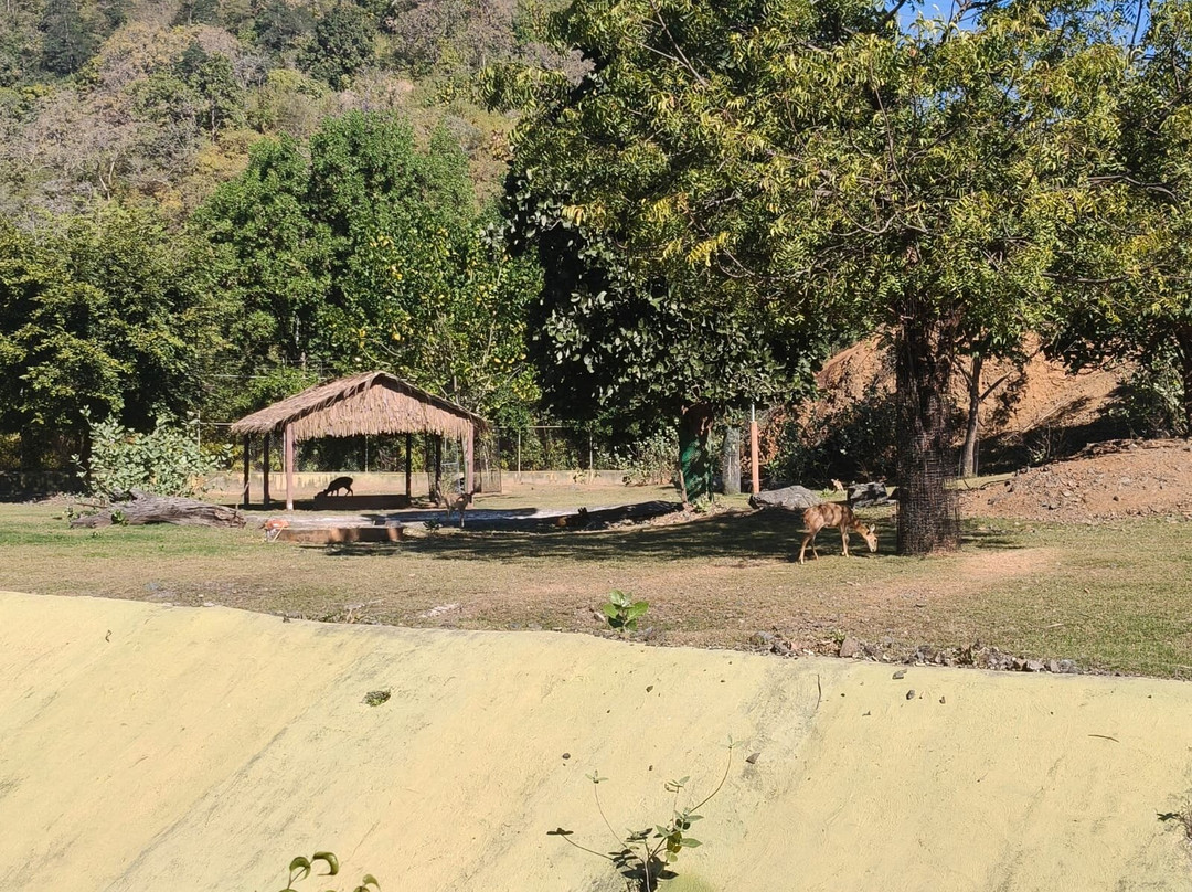 Sardar Patel Zoological Park-Kevadia必去景点