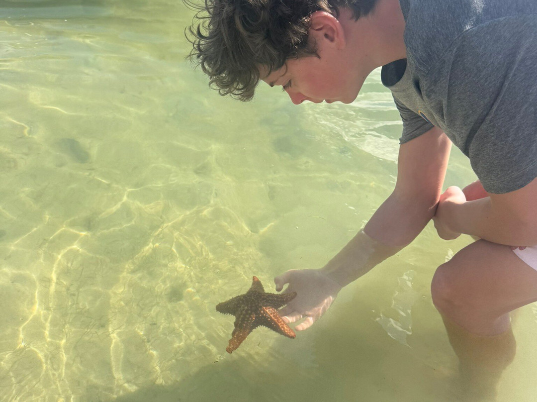 Joe Tourist Outdoor Adventures-乔治城必去景点