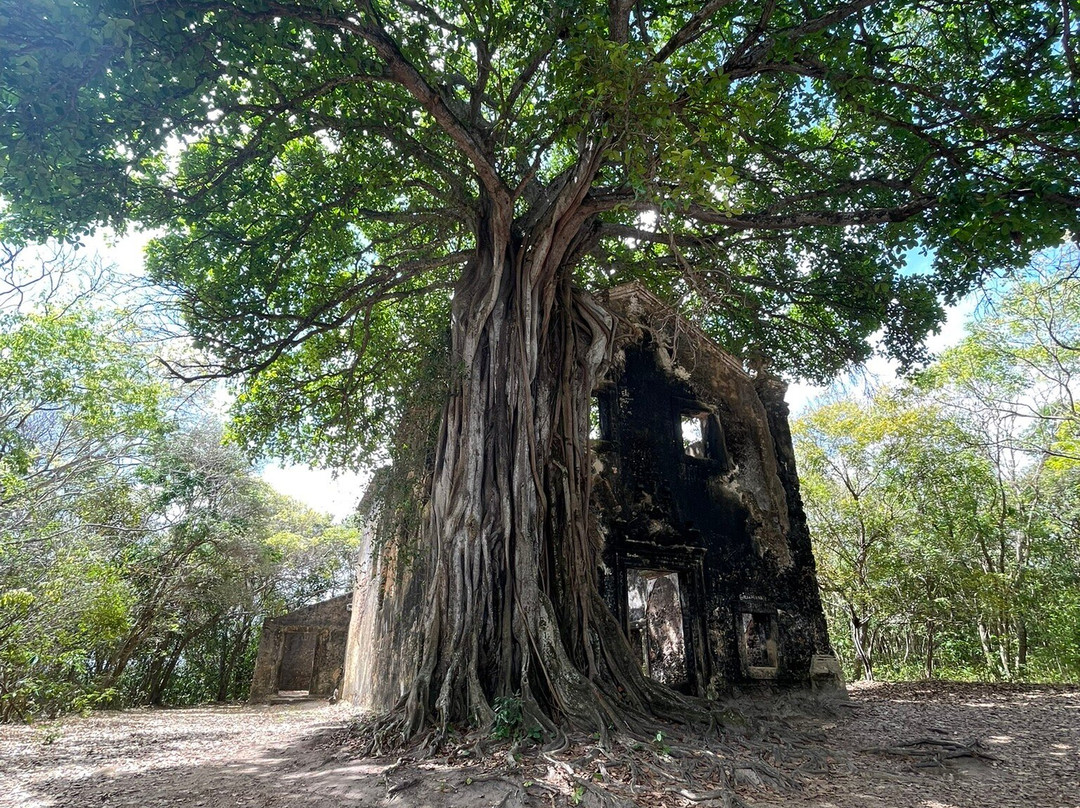 Ruins of the Old Church of Bomsucesso-Lucena必去景点