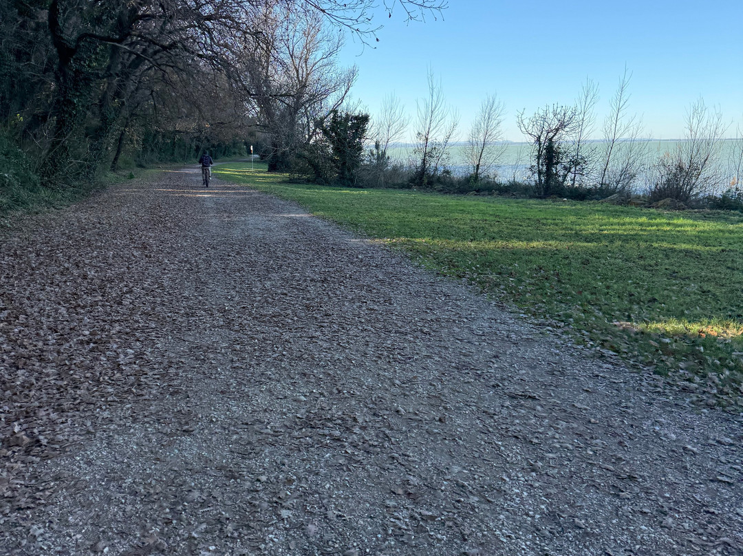 Pista Ciclabile del Trasimeno-Castiglione del Lago必去景点