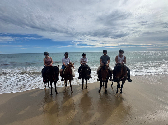 Sailh's Paradise Horse Riding