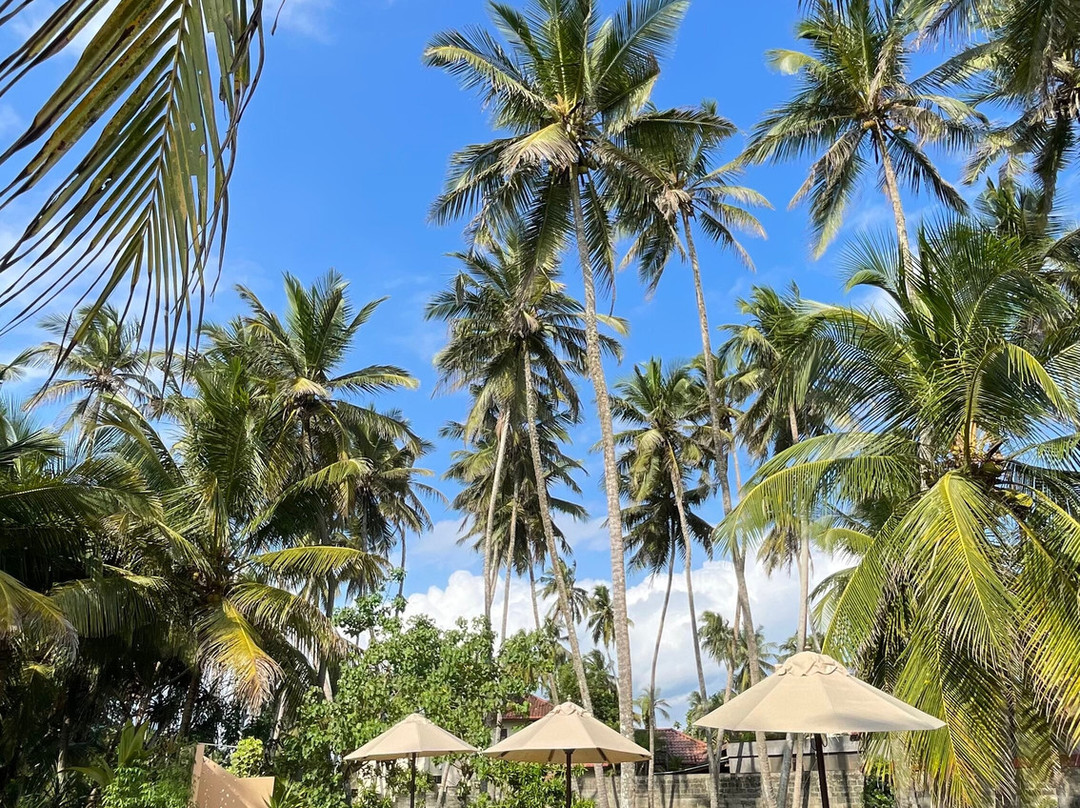 Golden Beach Paradise主图