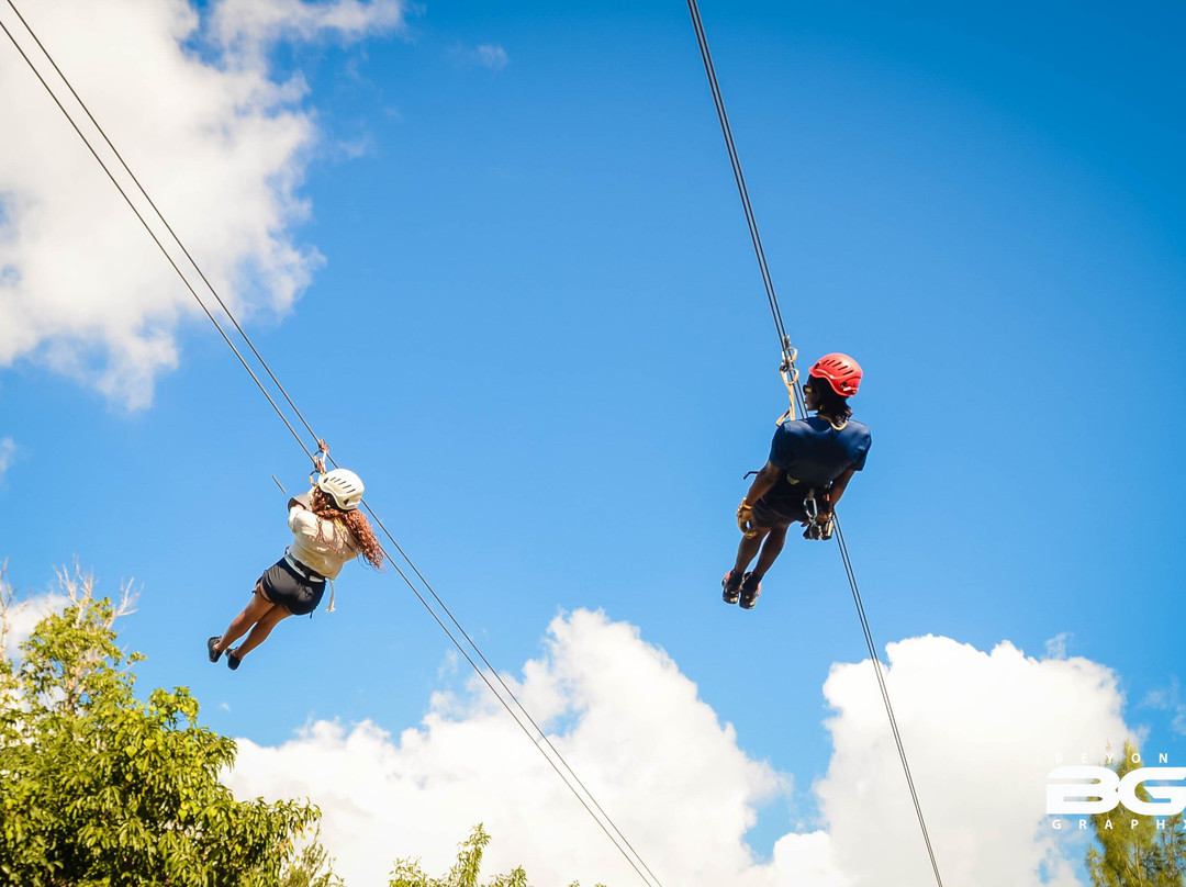 Beyond Graphx-弗里波特必去景点
