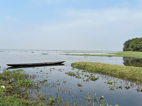 Baikka Beel Wetland Sanctuary-Sreemangal必去景点