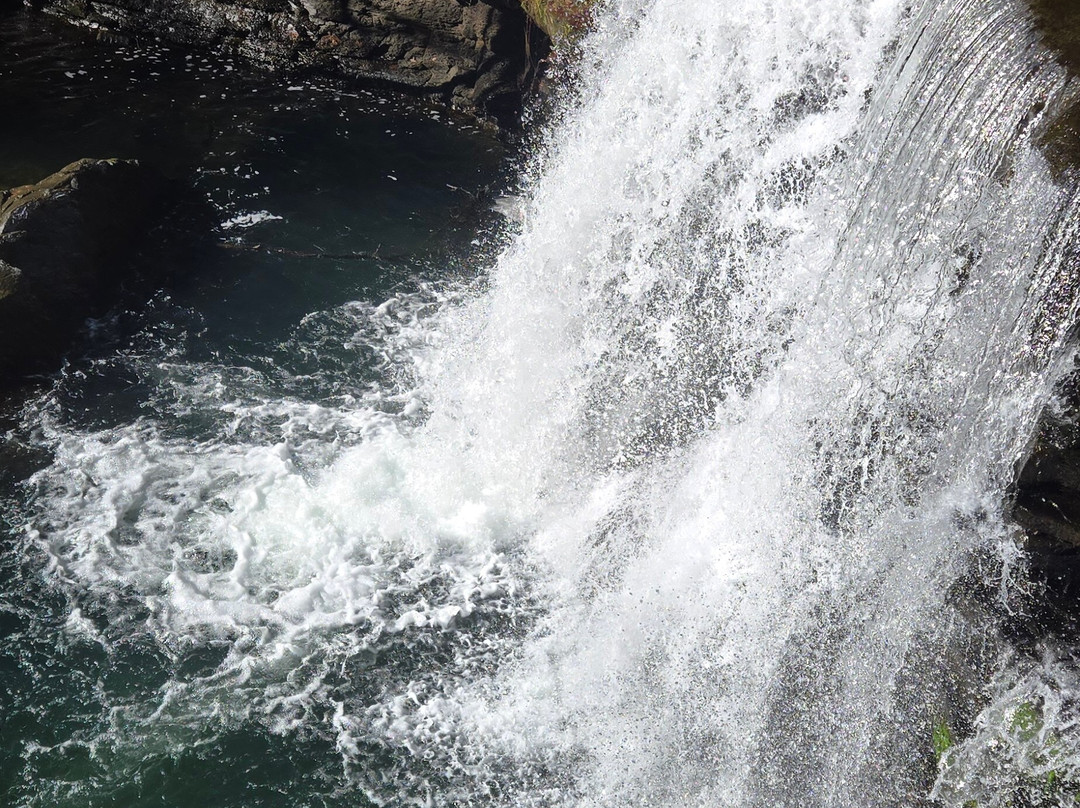Hawks Nest State Park-Ansted必去景点