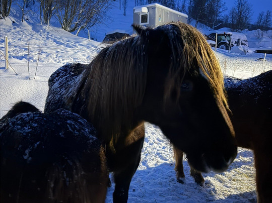 Tromsø Lyngshest-特罗姆瑟必去景点