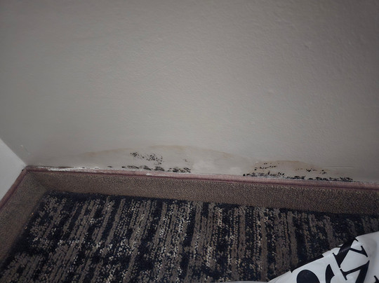 Hyatt Place Manati主图