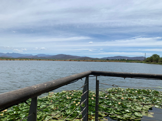 Springfield Estate Winery-Robertson必去景点