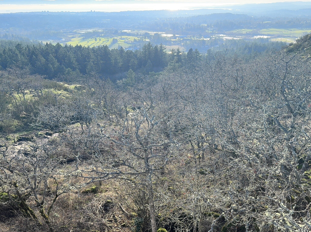 PKOLS Park-Saanich必去景点