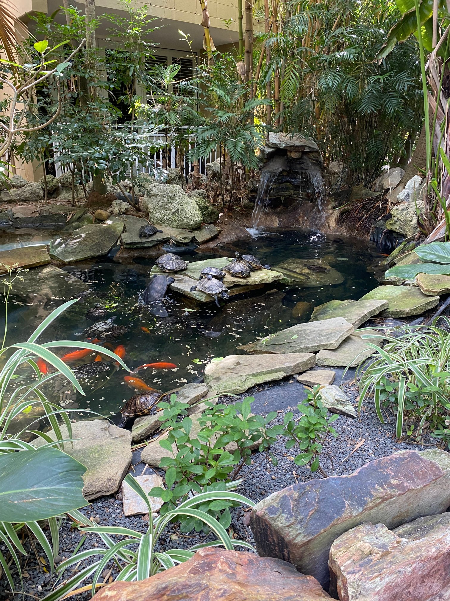 码头屋Spa度假酒店-官方