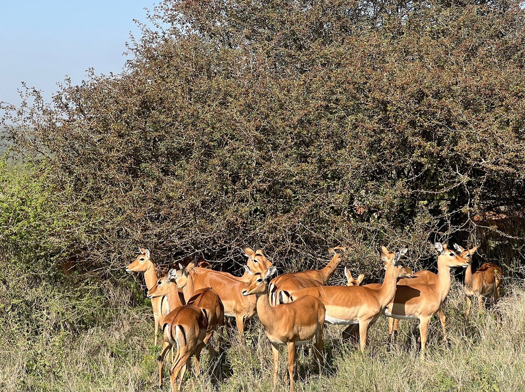 DISCOVERY OUTDOORS KENYA-Langata必去景点
