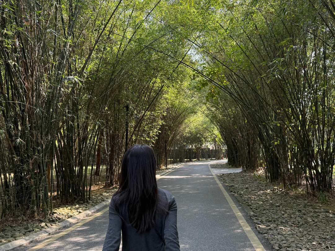 Serena Resort Kim Boi主图