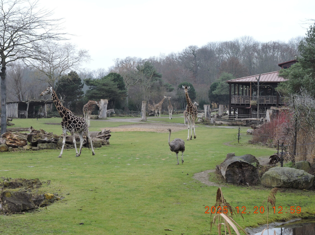 Zoo Leipzig-莱比锡必去景点