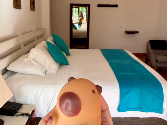 Hotel y Spa Getsemani主图