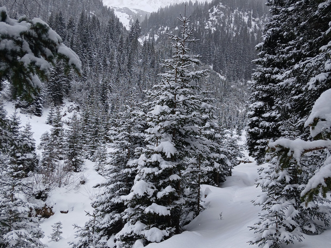Bergwanderführer Tirol-洛伊塔戌必去景点