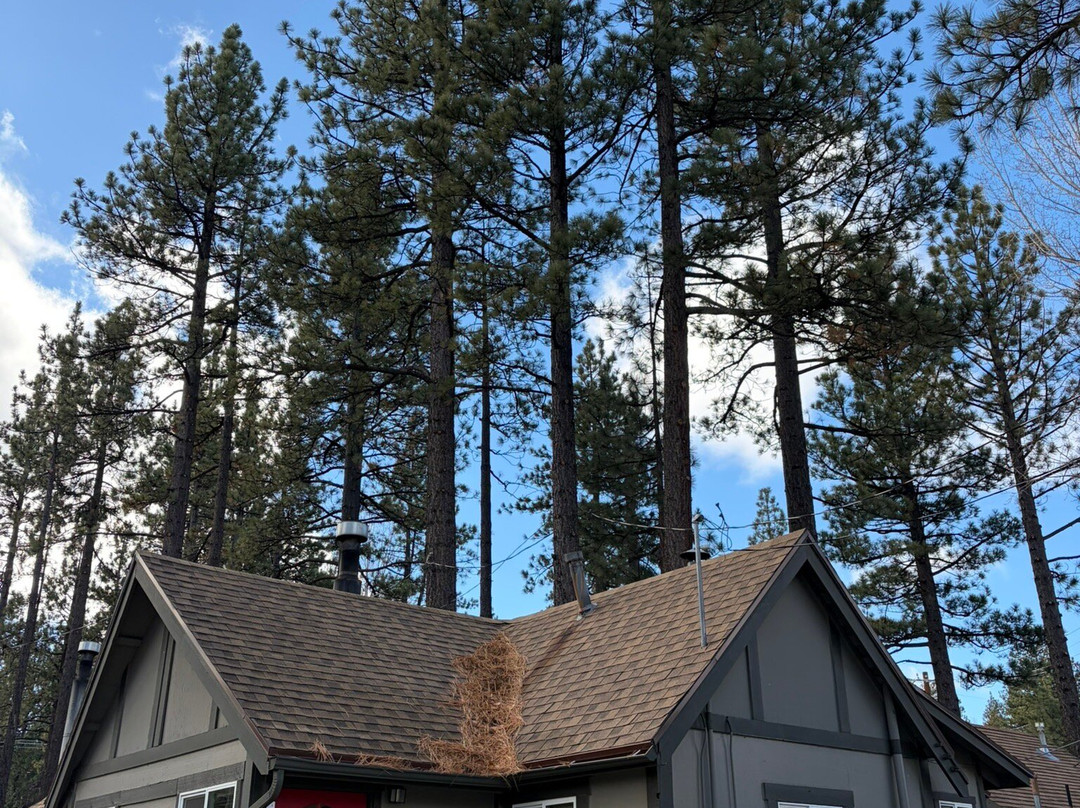 大贝尔弗兰提尔酒店主图