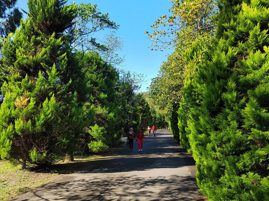 Shekvetili Dendrological Park-Shekhvetili必去景点